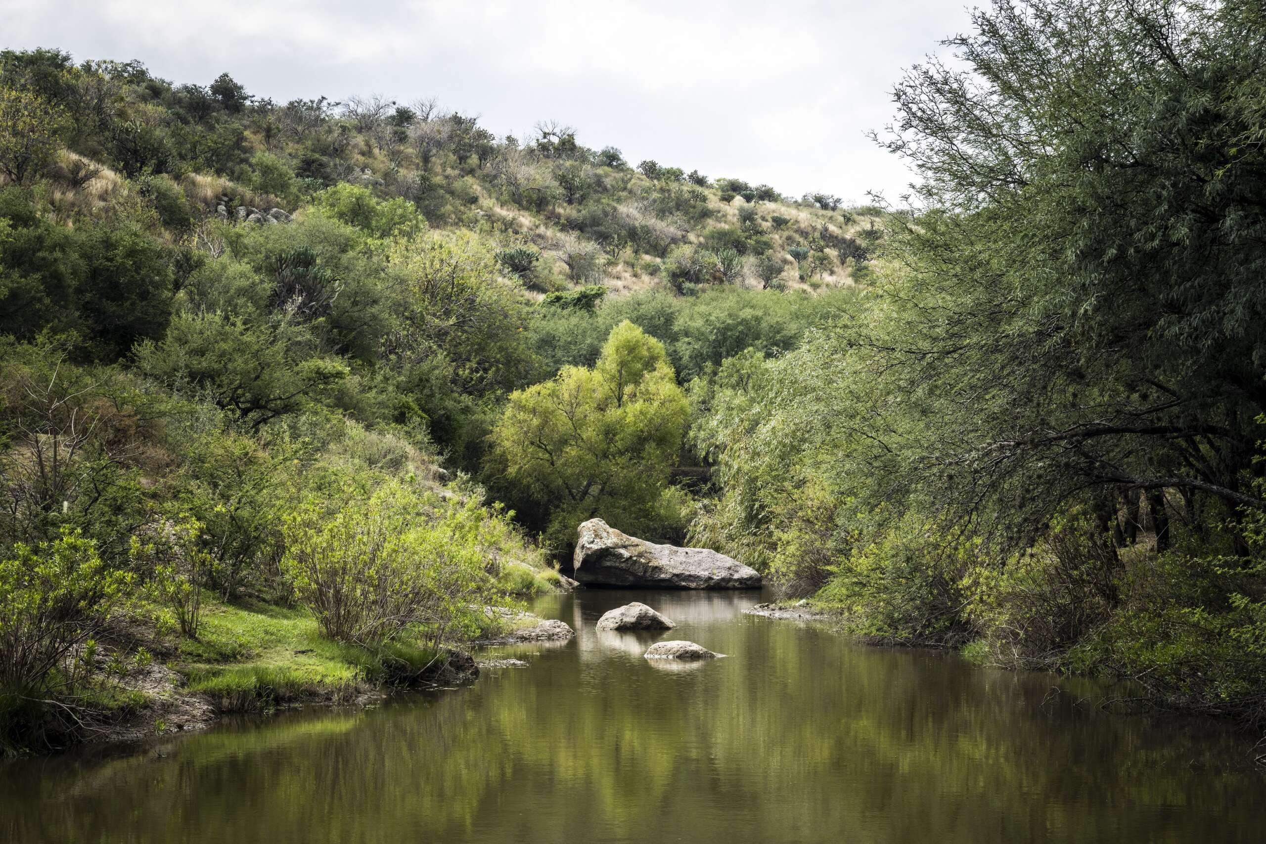 Áreas Naturales Protegidas (5)