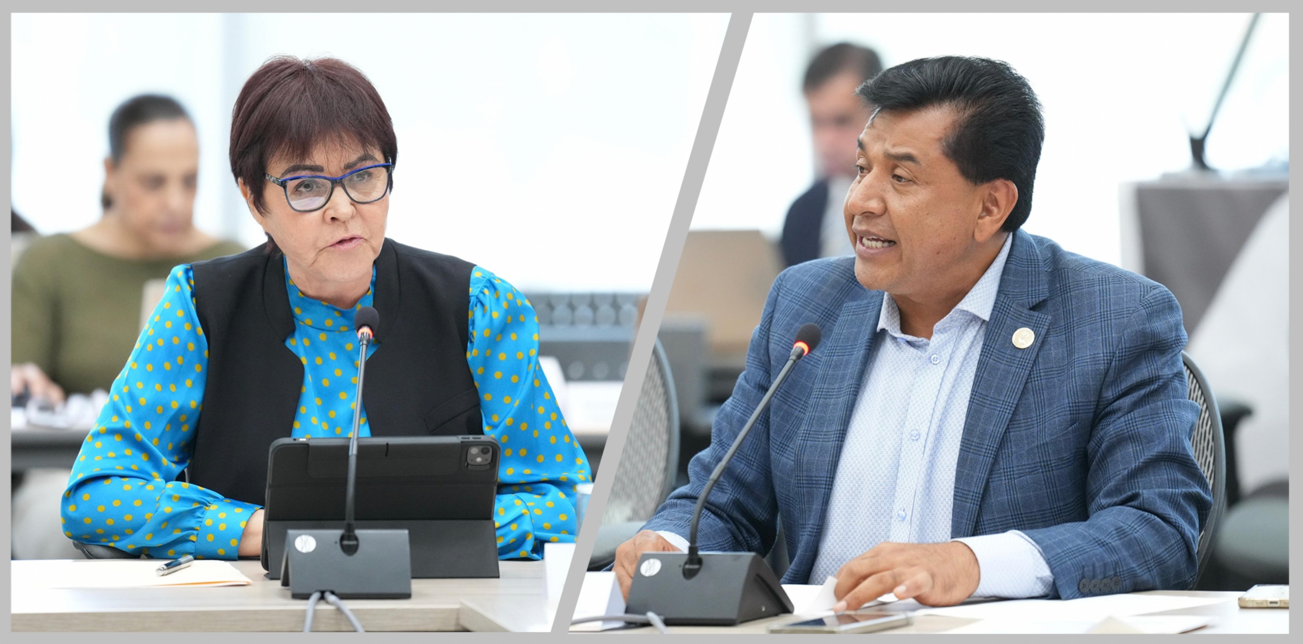 Diputados PAN (1)