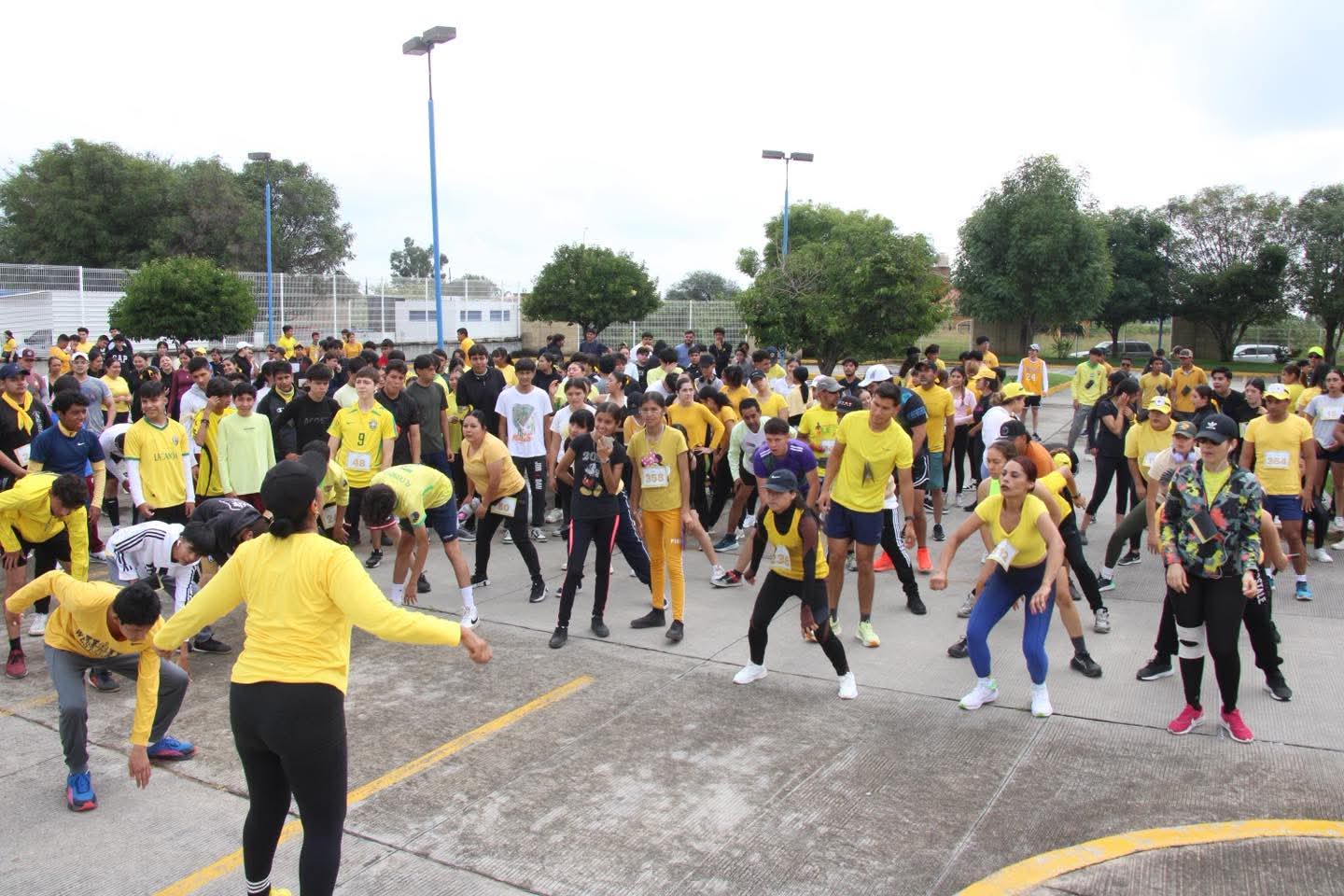 activación física (1)