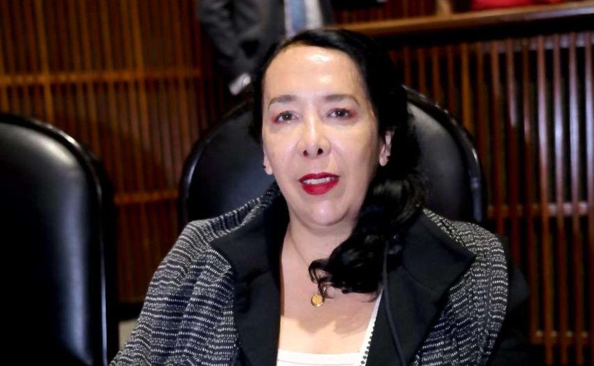hilda-araceli-brown-figueredo-diputada-federal-por-morena