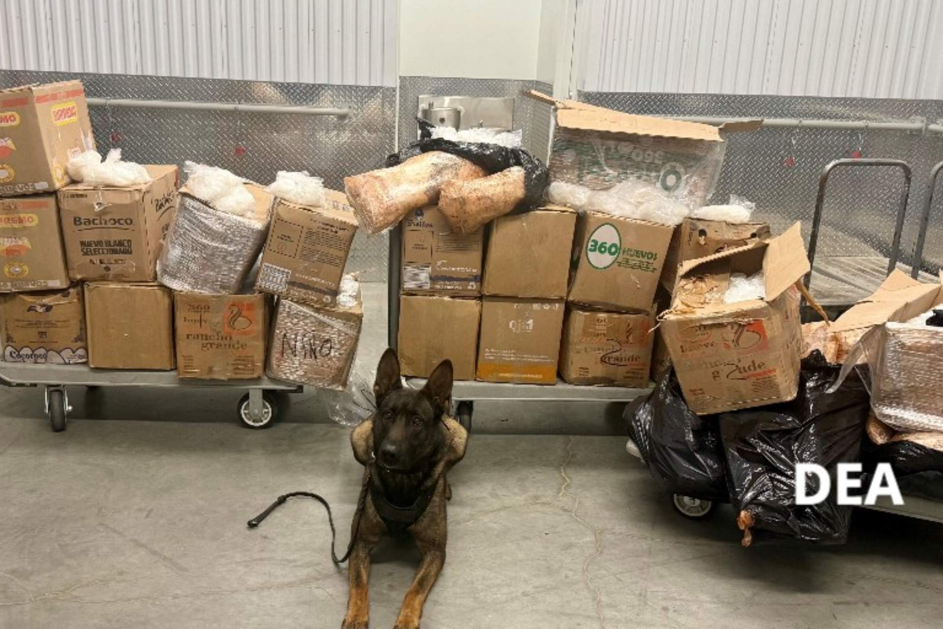 dea-eeuu-metanfetamina-cjng-30oct25