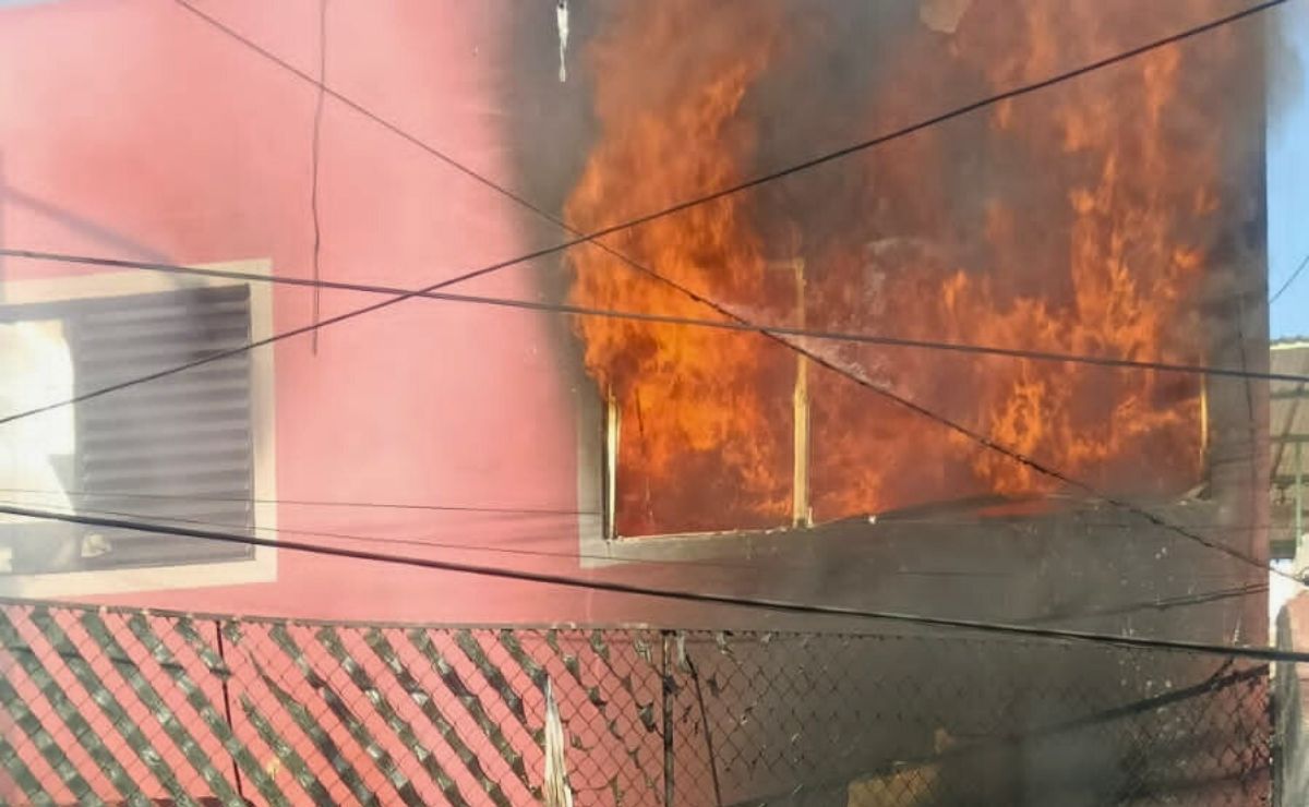 incendio-en-cdmx-en-el-que-murio-un-perrito