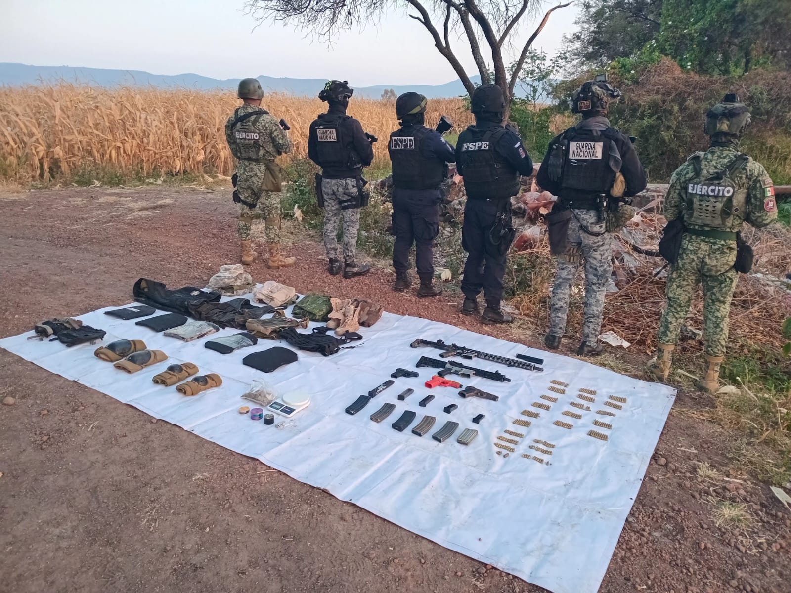 Asegura Secretaría de Seguridad y Paz armamento en Pénjamo 00