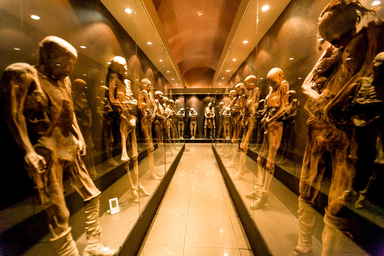 galeria1