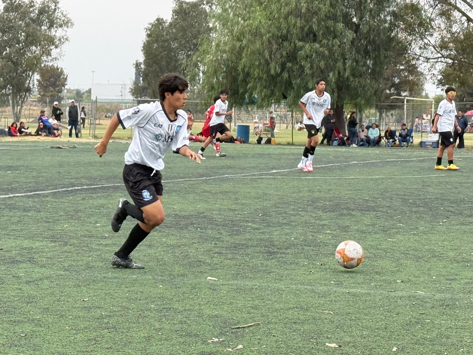 Sede