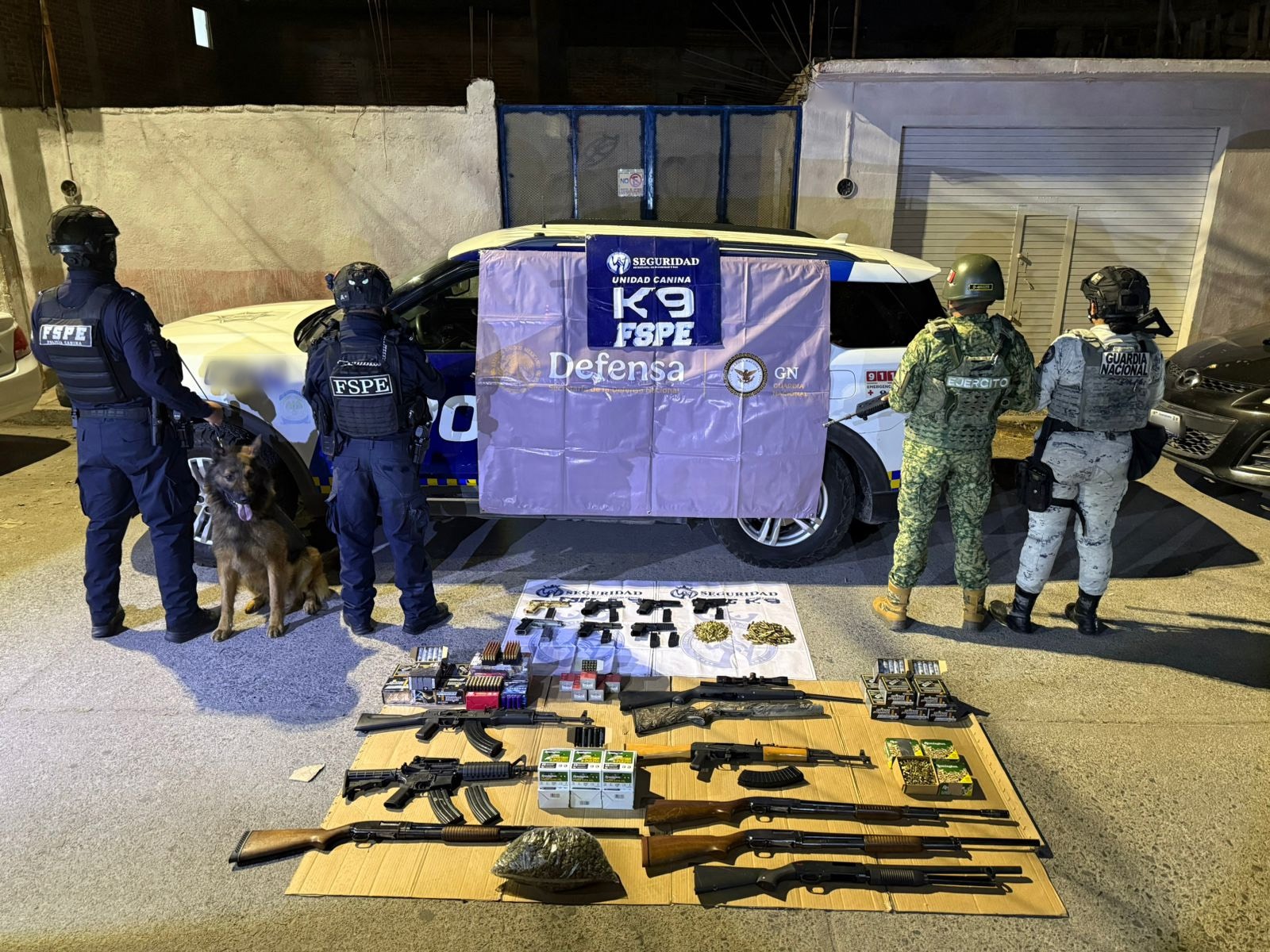 Frustra K9 envío de 15 armas en paquetería de Salamanca 00