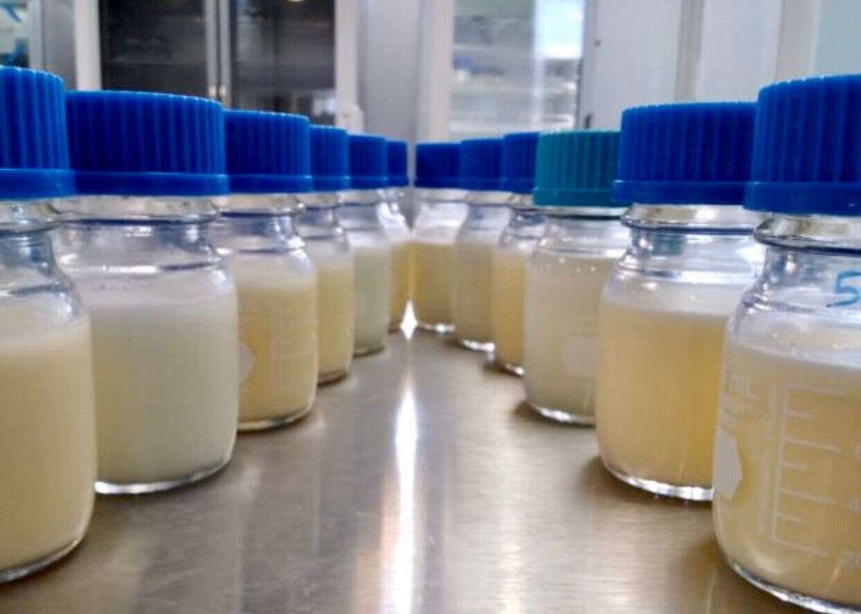 Salas de lactancia espacios dignos y seguros para la extracción y conservación de leche humana.