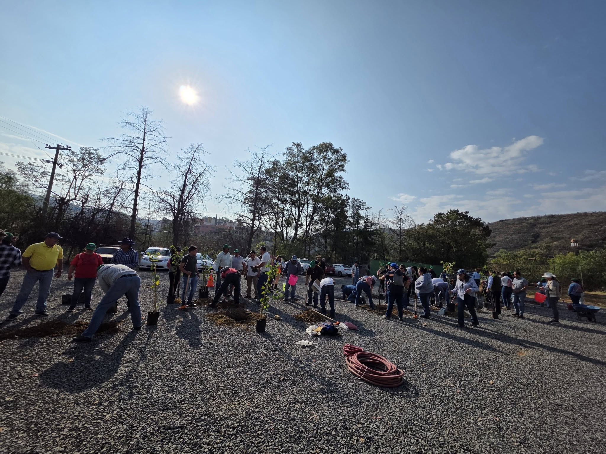 Reforestación 2 (1)