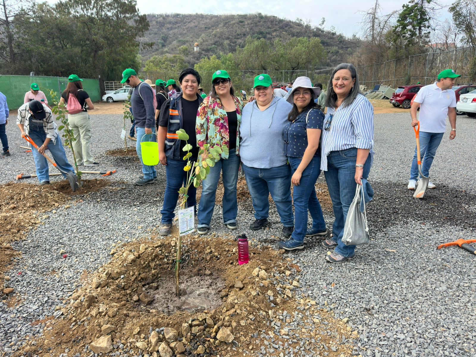 Reforestación 7