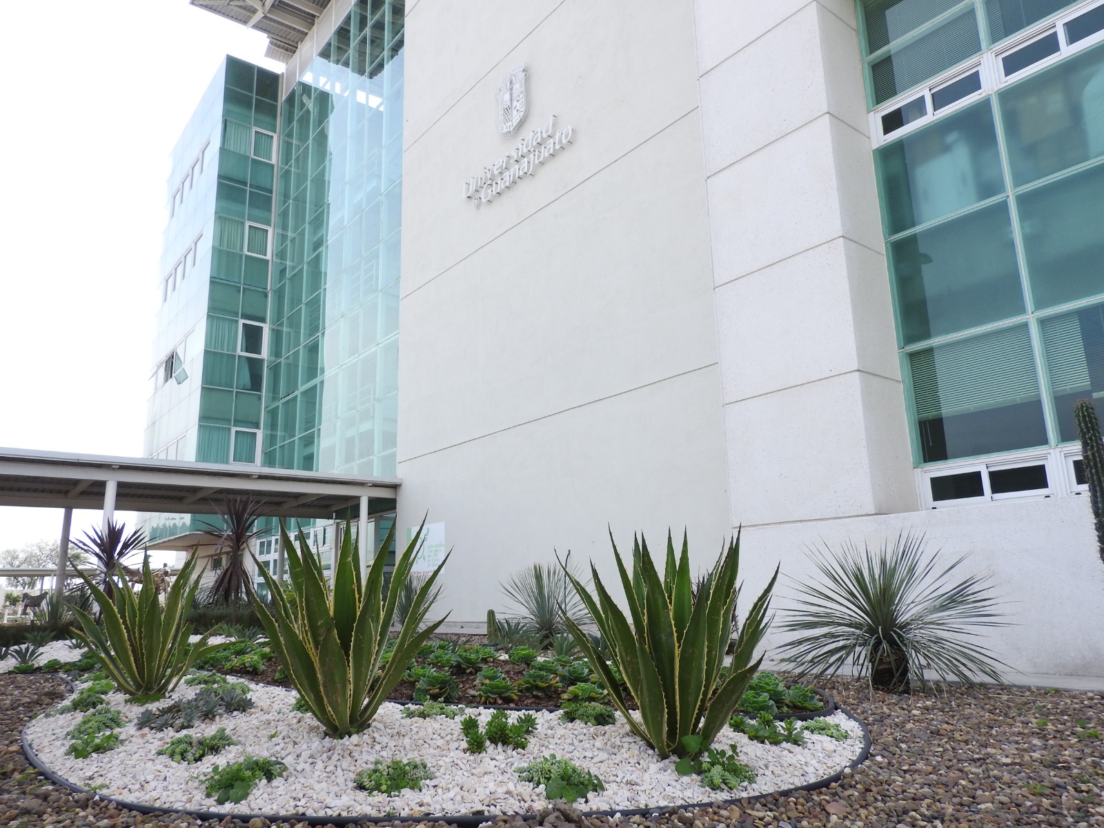 campus-celaya-salvatierra