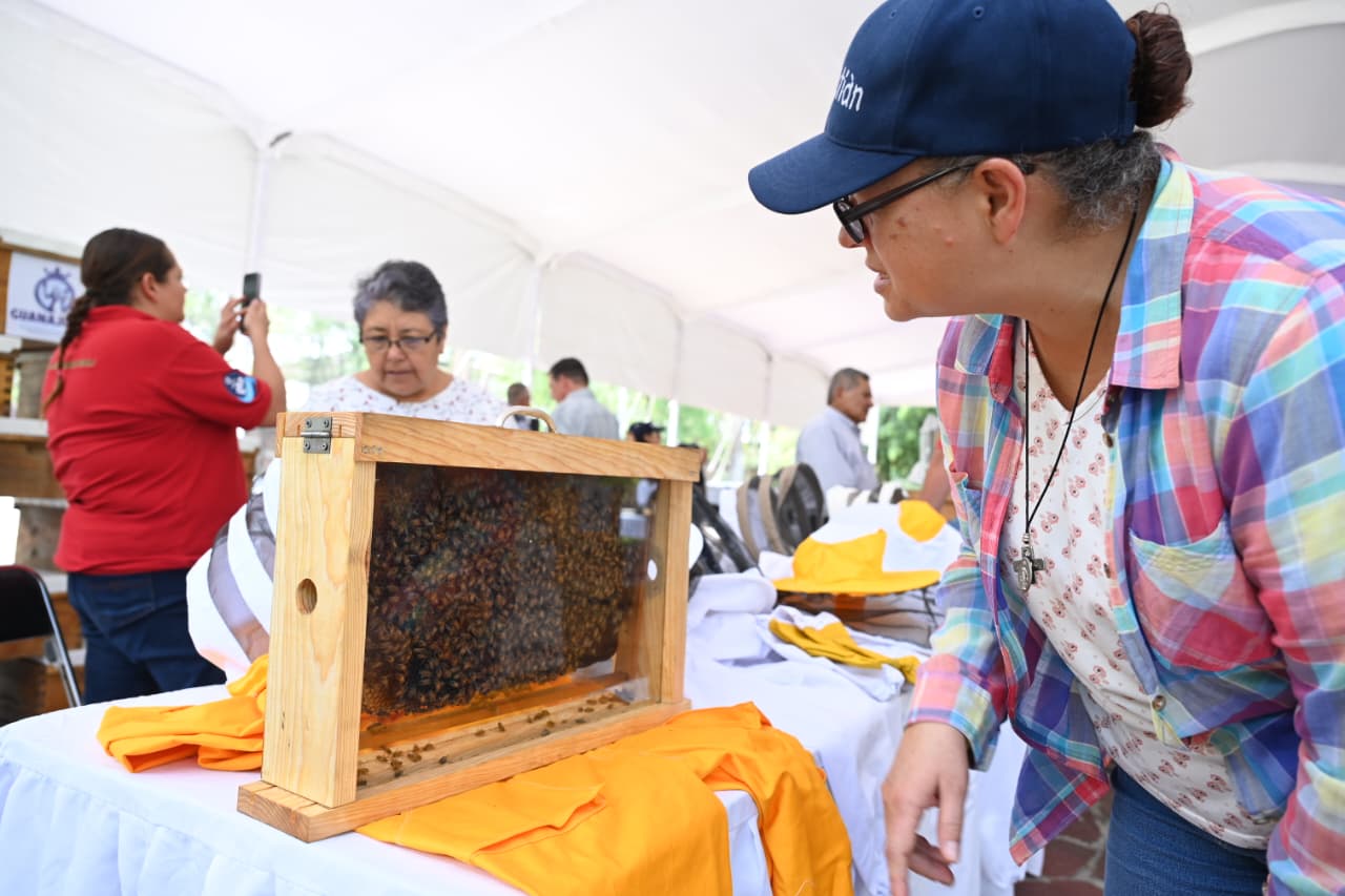 DÍA MUNDIAL DE LAS ABEJAS (1)