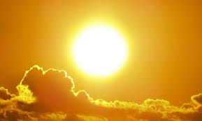 images (1)