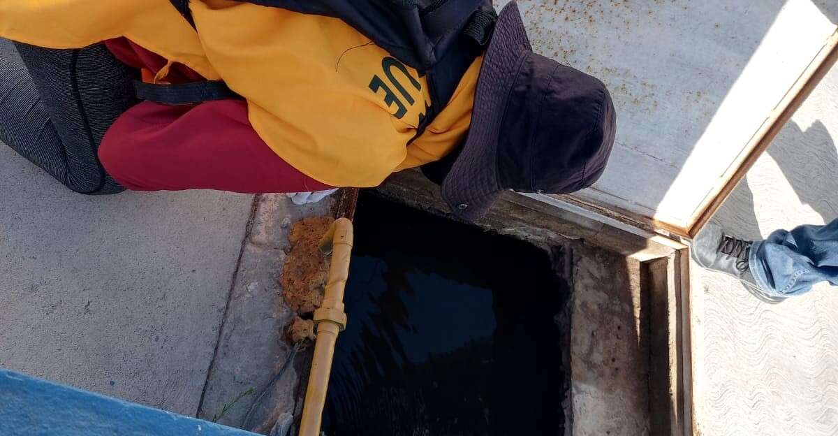 1 (3)