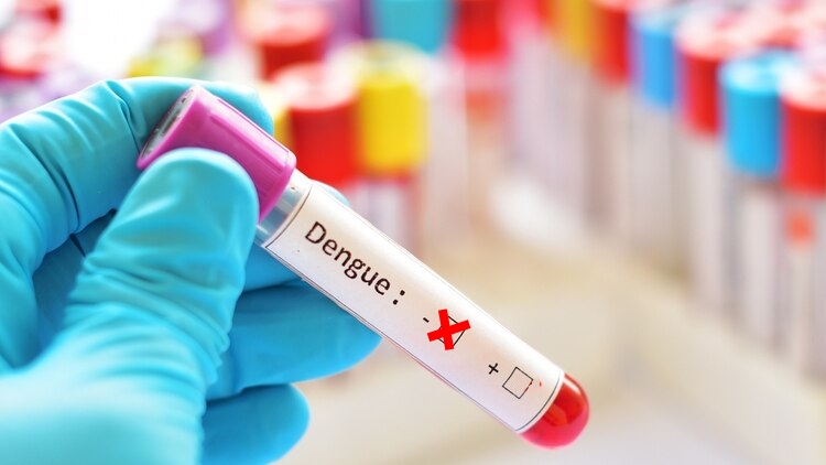 Dengue-