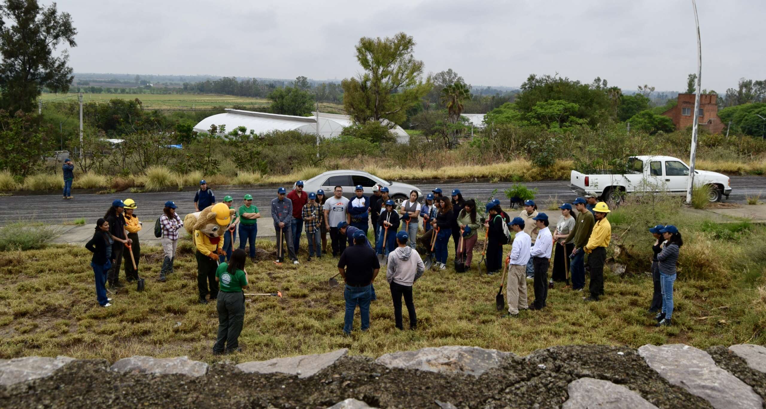 reforestacion-diciva (8)